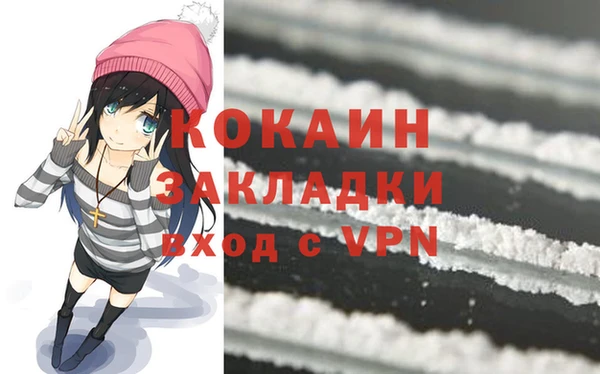 шишки Белокуриха