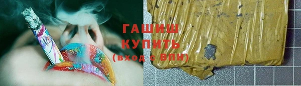 шишки Белокуриха