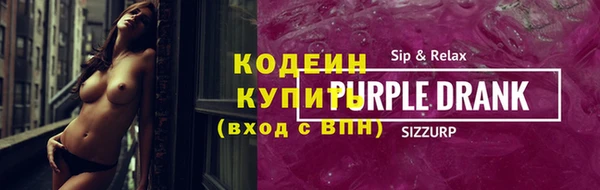 шишки Белокуриха