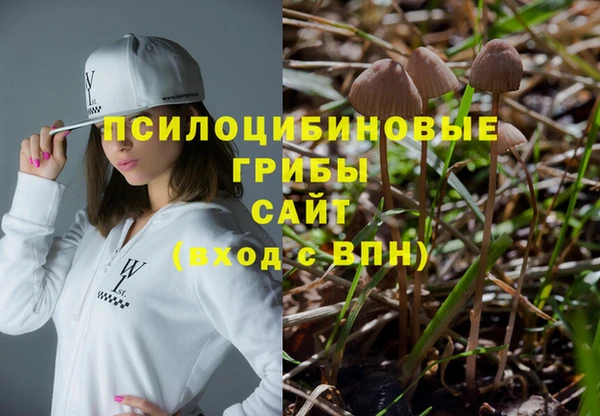 шишки Белокуриха