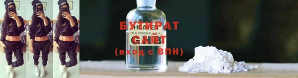 шишки Белокуриха