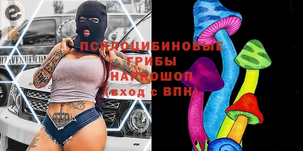 крисы Белоозёрский