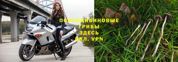 крисы Белоозёрский