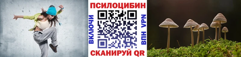 Купить где  Харовск  Псилоцибиновые грибы Cubensis 